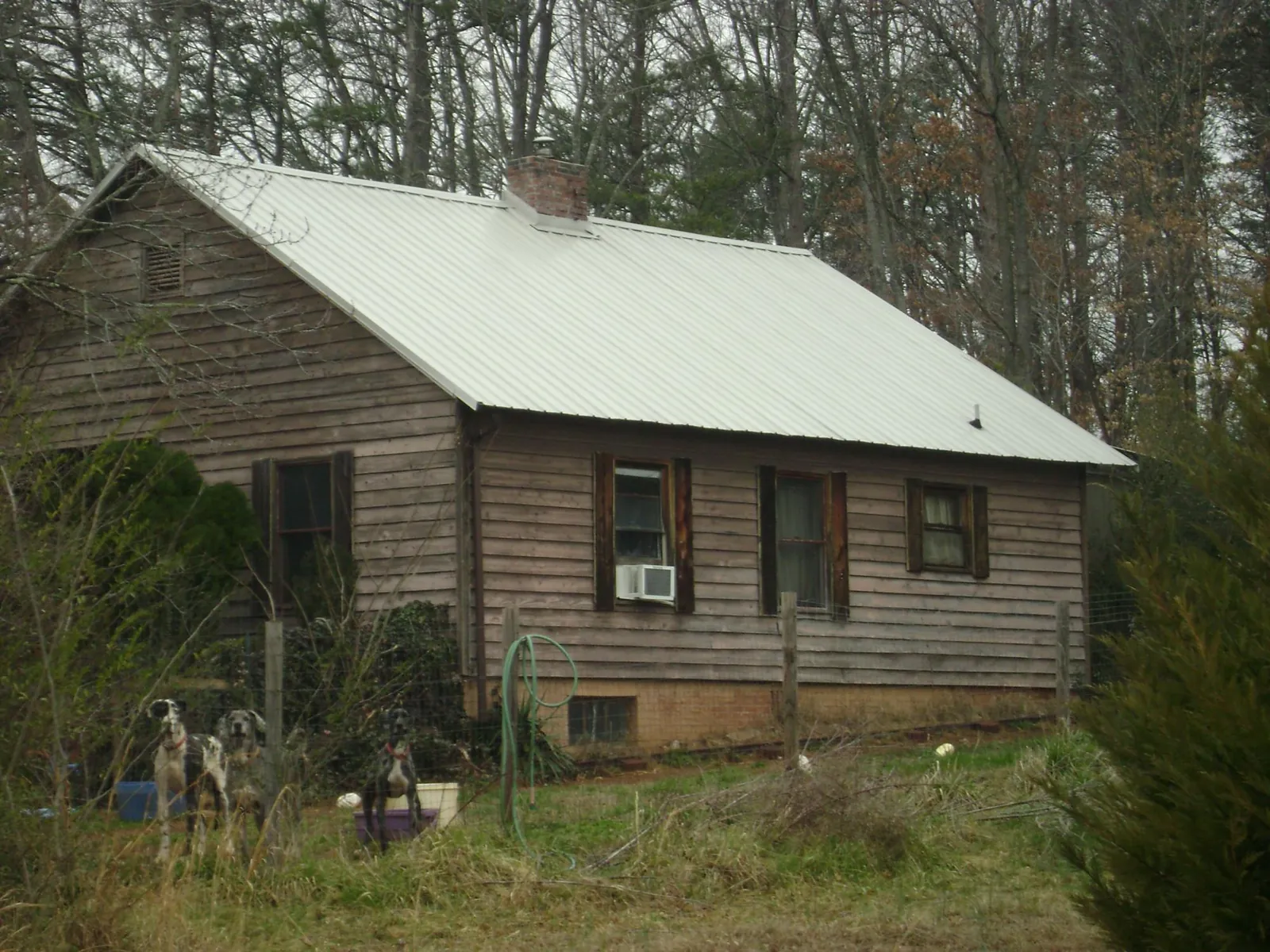 White metal roof on an old wood sided farmhouse, from a Asphalt Shingle Roof Repair job in Kouts